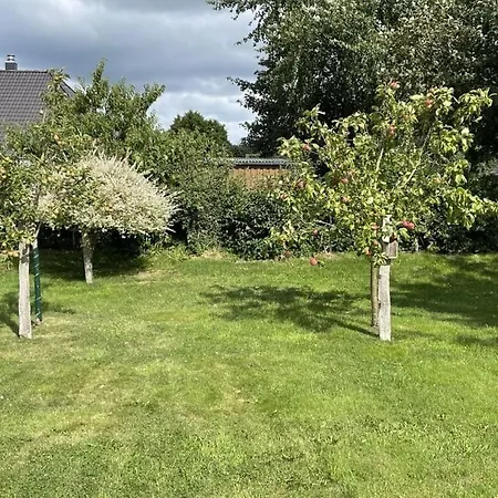 North Sea Zinnaecker